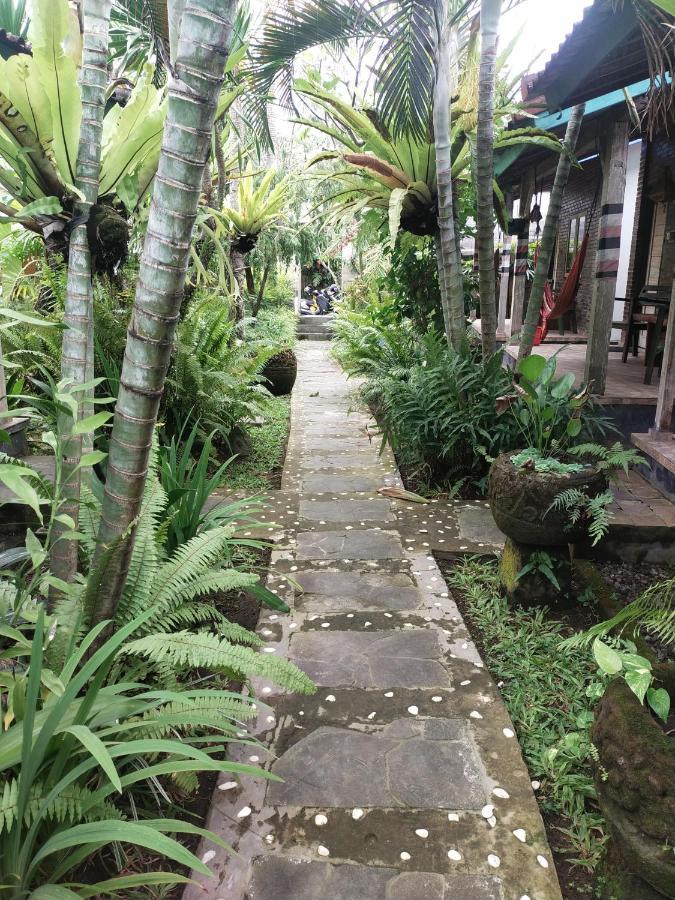 Comeback Guesthouse Canggu Eksteriør bilde