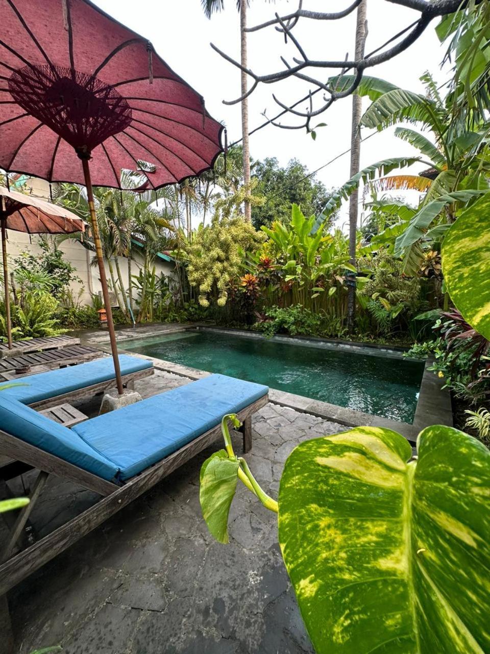 Comeback Guesthouse Canggu Eksteriør bilde