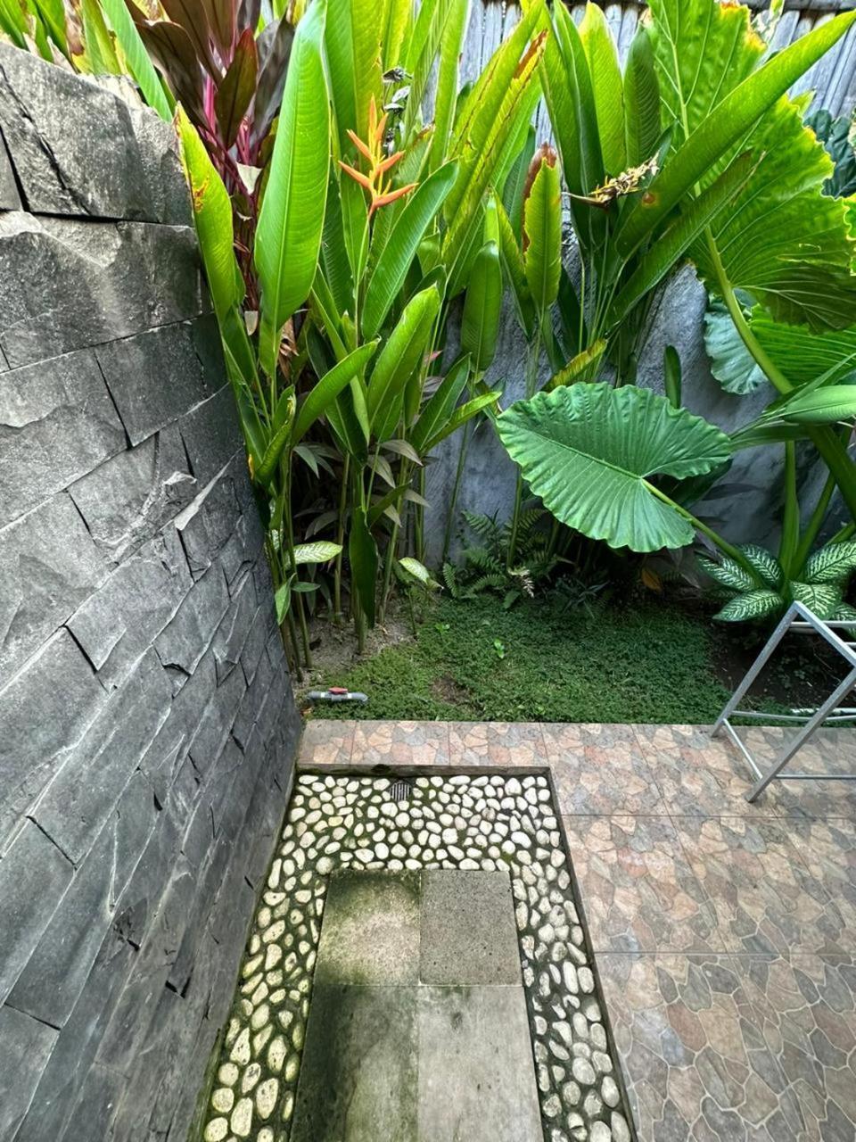 Comeback Guesthouse Canggu Eksteriør bilde